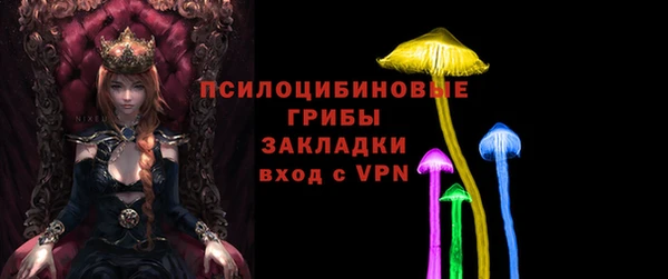 МДПВ Абдулино